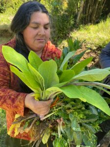 Multi-energy Micro grids 2