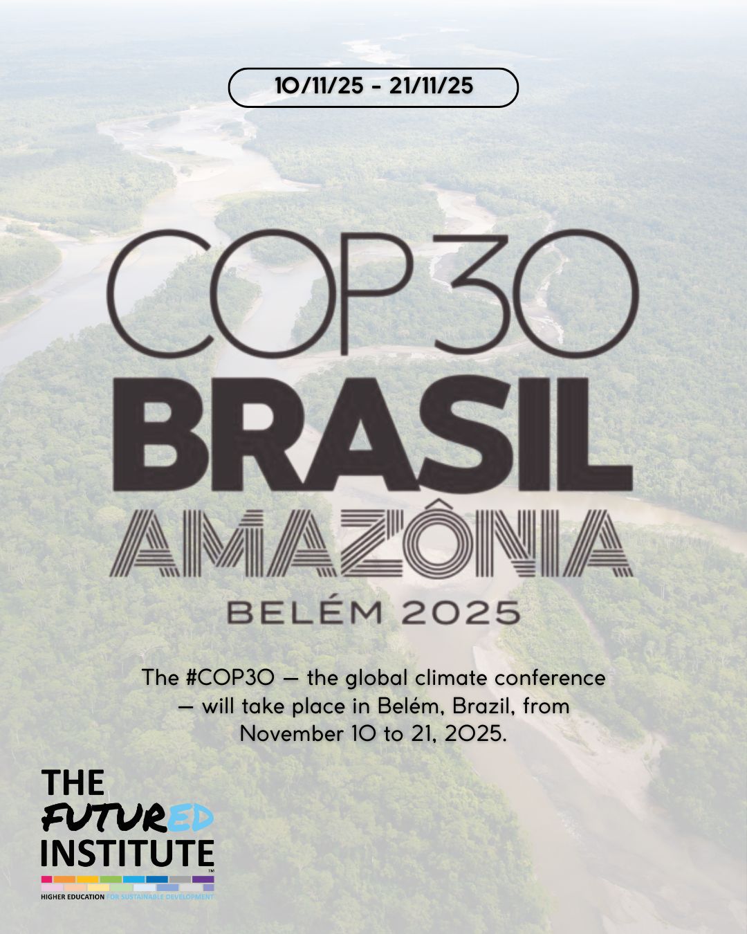 COP30 is now underway! The FuturED Institute and IGTCA: turning speeches into real climate action
